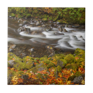 USA, Oregon, Columbia River Gorge, Tanner Creek 2 Ceramic Tile