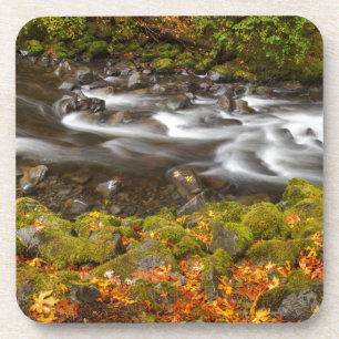 USA, Oregon, Columbia River Gorge, Tanner Creek 2 Coaster