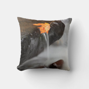 USA, Oregon, Columbia River Gorge, Tanner Creek 3 Cushion