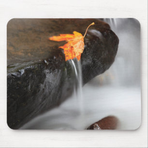 USA, Oregon, Columbia River Gorge, Tanner Creek 3 Mouse Pad