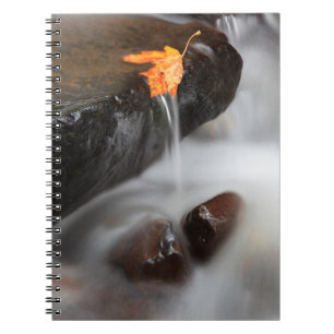 USA, Oregon, Columbia River Gorge, Tanner Creek 3 Notebook