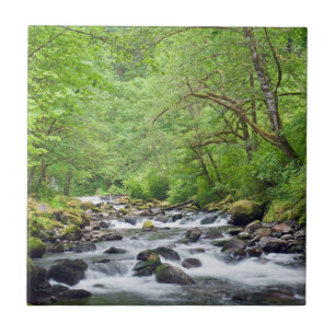 USA, Oregon, Columbia River Gorge, Tanner Creek 4 Ceramic Tile