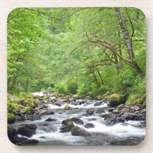 USA, Oregon, Columbia River Gorge, Tanner Creek 4 Coaster