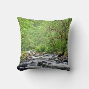 USA, Oregon, Columbia River Gorge, Tanner Creek 4 Cushion