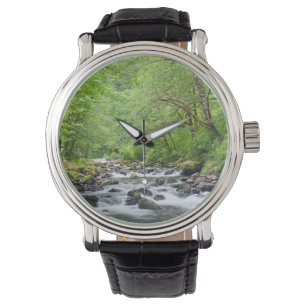 USA, Oregon, Columbia River Gorge, Tanner Creek 4 Watch