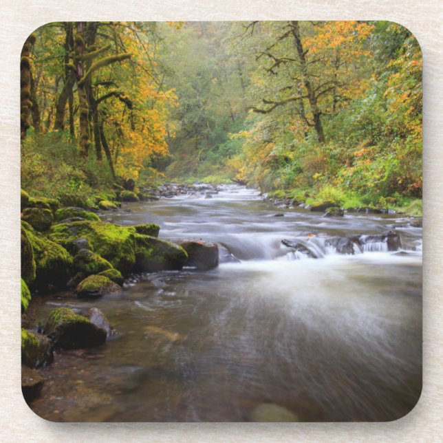 USA, Oregon, Columbia River Gorge, Tanner Creek Coaster (Front)