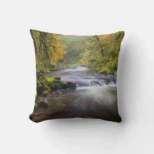 USA, Oregon, Columbia River Gorge, Tanner Creek Cushion