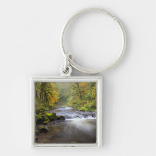 USA, Oregon, Columbia River Gorge, Tanner Creek Key Ring
