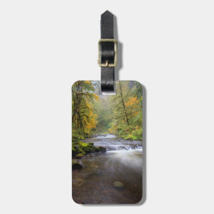 USA, Oregon, Columbia River Gorge, Tanner Creek Luggage Tag
