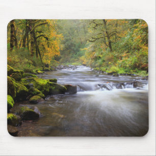 USA, Oregon, Columbia River Gorge, Tanner Creek Mouse Pad