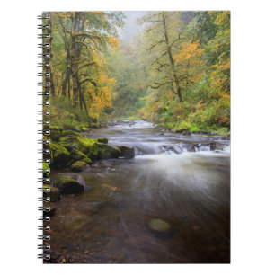 USA, Oregon, Columbia River Gorge, Tanner Creek Notebook