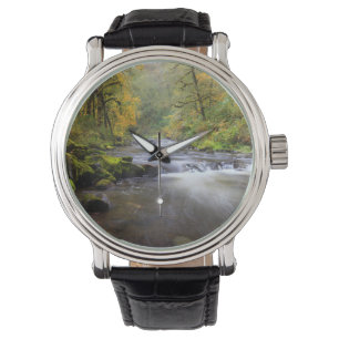 USA, Oregon, Columbia River Gorge, Tanner Creek Watch