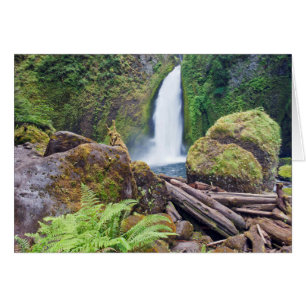 USA, Oregon, Columbia River Gorge, Wahclella