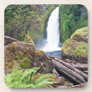 USA, Oregon, Columbia River Gorge, Wahclella Coaster