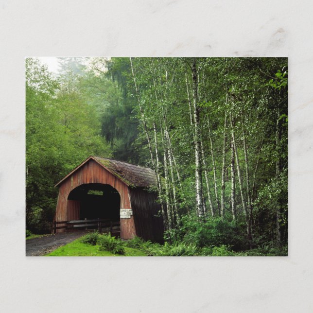 USA, Oregon. Covered Bridge Over North Fork Postcard (Front)