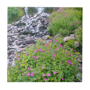 USA, Oregon, Crater Lake National Park Ceramic Tile