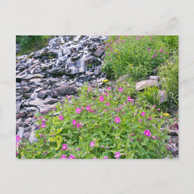 USA, Oregon, Crater Lake National Park Postcard (Front)