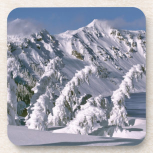 USA, Oregon, Crater Lake NP. Trees bow under the Coaster