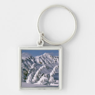 USA, Oregon, Crater Lake NP. Trees bow under the Key Ring