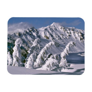 USA, Oregon, Crater Lake NP. Trees bow under the Magnet