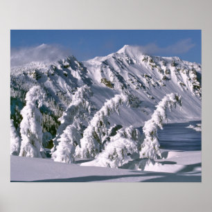 USA, Oregon, Crater Lake NP. Trees bow under the Poster