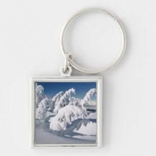 USA, Oregon, Crater Lake NP. Trees droop under a Key Ring