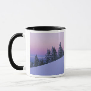 USA, Oregon, Deschutes National Forest, Dusk Mug