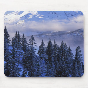 USA, Oregon, Deschutes National Forest, South Mouse Pad