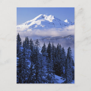 USA, Oregon, Deschutes National Forest, South Postcard