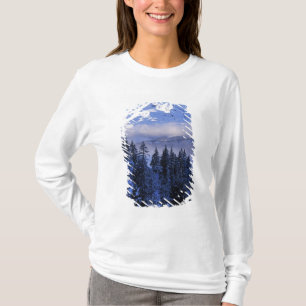 USA, Oregon, Deschutes National Forest, South T-Shirt