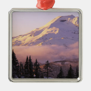 USA, Oregon, Deschutes National Forest, The Metal Ornament