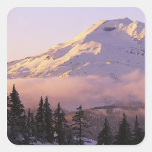 USA, Oregon, Deschutes National Forest, The Square Sticker