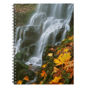 USA, Oregon, Fairy Falls, Columbia River Gorge Notebook