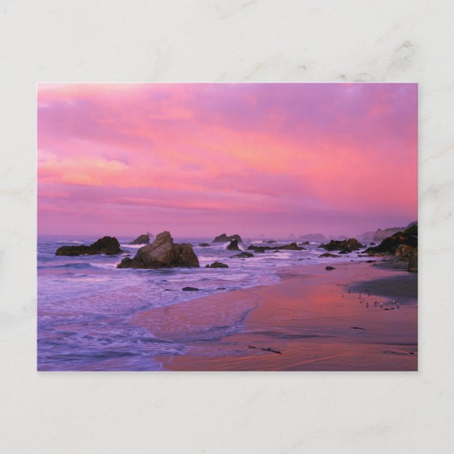 USA, Oregon, Harris State Beach, Brookings. Postcard (Front)