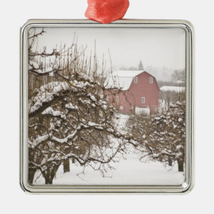 USA, Oregon, Hood River. Snow covered Apple Metal Ornament