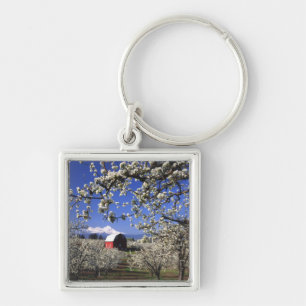 USA, Oregon, Hood River Valley, Pear orchard Key Ring