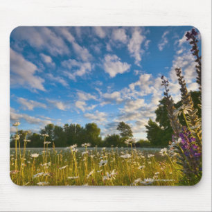 USA, Oregon, Marion County, Meadow with Mouse Pad