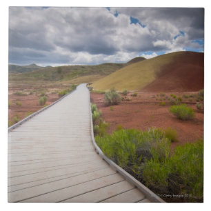 USA, Oregon, Mitchell, Pathway among Painted Ceramic Tile