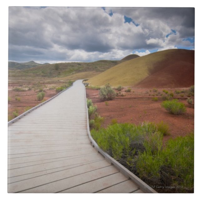 USA, Oregon, Mitchell, Pathway among Painted Ceramic Tile (Front)