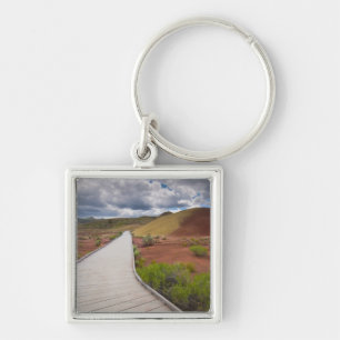 USA, Oregon, Mitchell, Pathway among Painted Key Ring