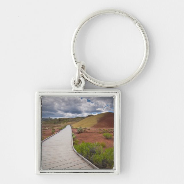 USA, Oregon, Mitchell, Pathway among Painted Key Ring (Front)
