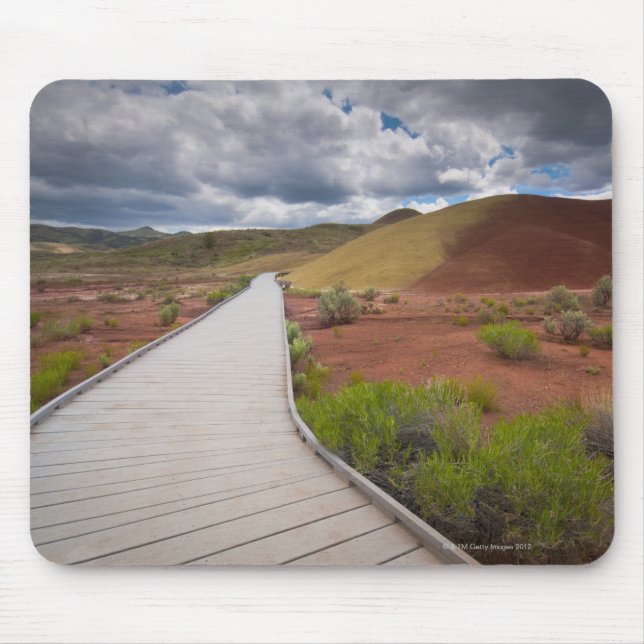 USA, Oregon, Mitchell, Pathway among Painted Mouse Pad (Front)