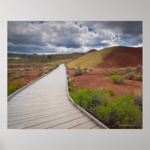 USA, Oregon, Mitchell, Pathway among Painted Poster