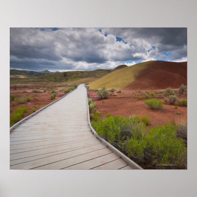 USA, Oregon, Mitchell, Pathway among Painted Poster (Front)