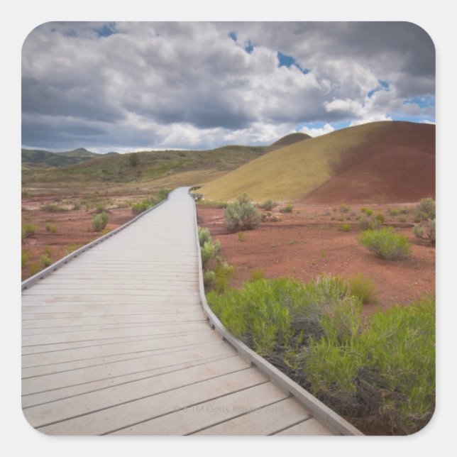 USA, Oregon, Mitchell, Pathway among Painted Square Sticker (Front)