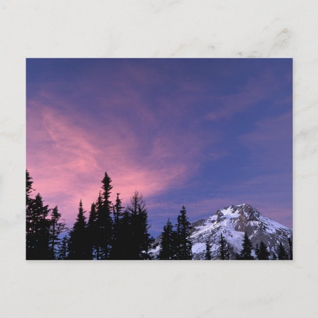 USA, Oregon, Mount Hood from Timberline Postcard (Front)