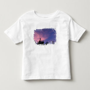 USA, Oregon, Mount Hood from Timberline Toddler T-Shirt