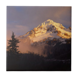 USA, Oregon, Mt. Hood National Forest Ceramic Tile