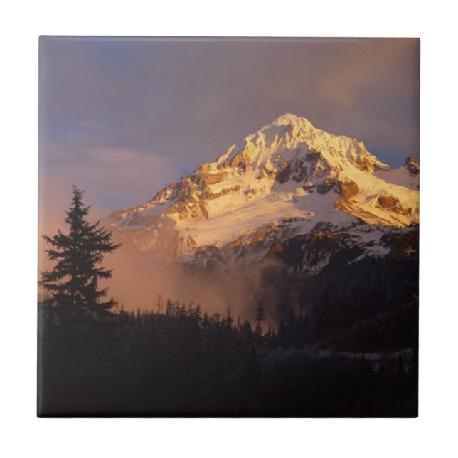USA, Oregon, Mt. Hood National Forest Ceramic Tile (Front)