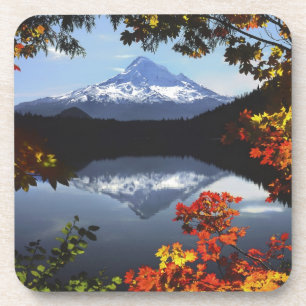 USA, Oregon, Mt. Hood National Forest. Coaster
